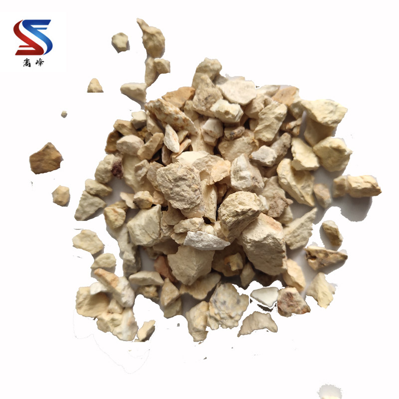 �������X�\��