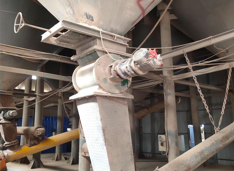 �X���}�����a�O��