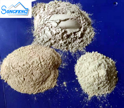 �X�\����(x��)�ۏS�҈D